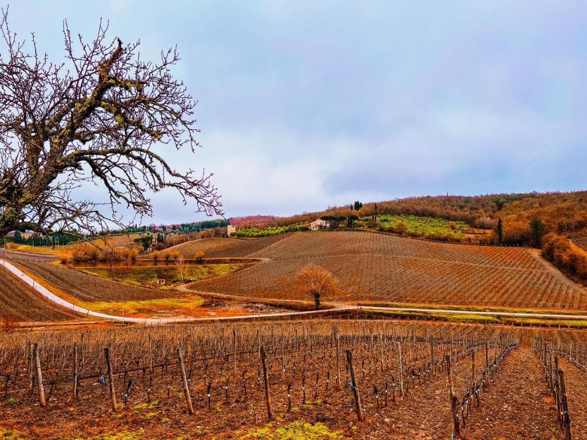 Locanda Podere Le Vigne Рада ин Кианти Екстериор снимка